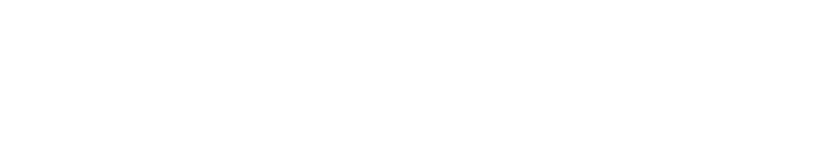 でお祝いの日を華やかに彩ります